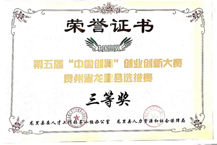 “中国创翼”创业创新大赛-三等奖